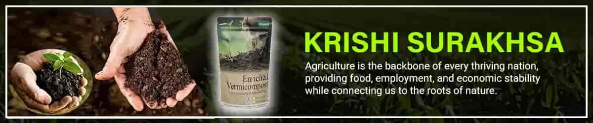 SBI CSP KOSI KALAN CHHATA MATHURA UTTAR PRADESH banner